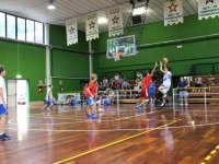Quest’anno il basket sg.sport riserva tante novità…